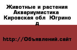 Животные и растения Аквариумистика. Кировская обл.,Югрино д.